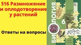 Биология 6 класс. §16 Размножение и оплодотворение у растений