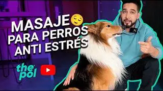 Cómo hacer un MASAJE ANTI ESTRÉS A TU PERRO 🐕👏
