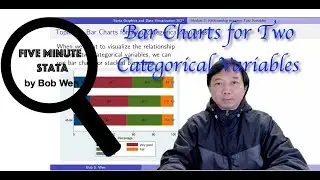 How to Draw Bar Charts for Two Categorical Variables? | Stata Graphics | Stata Tutorials Topic 10