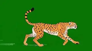 Cheetah Animal Running Green Screen | Animal Stampede Green Screen