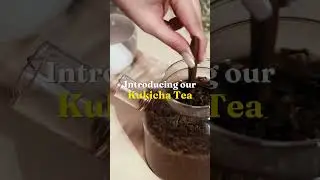Introducing the KUKICHA TEA | Dorje Teas  