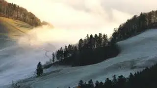 Лесной гамак