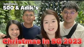 500 and Adik’s Christmas in Singapore 2023 Edition. 500和Adik 来新加坡就为了看Mario和圣诞灯。