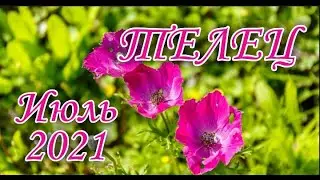 ТЕЛЕЦ ♉ИЮЛЬ🍎ТАРО ПРОГНОЗ 