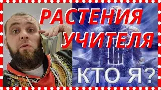 Зачем нужно использовать растения учителя| Растения учителя| Полная версия