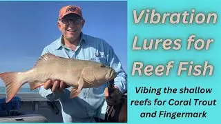 CORAL TROUT AND FINGERMARK ON VIBES