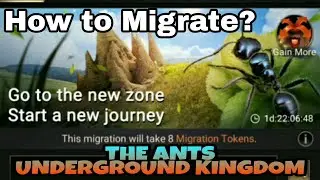 The Ants Underground Kingdom - Migration How to?