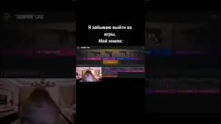 Я забываю выйти из игры. Мой хомяк: 