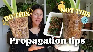 My top propagation tips for MAXIMUM Success (:
