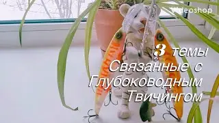Скоро !!! Полезные темы  по  глубоководному таичингу .