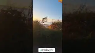 Love October