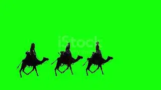 camel green screen free download