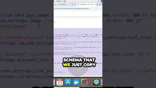 Easy Steps to Customize Shopify Schema - Shopify Expert #programming #chatgpt #coding #code