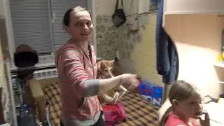 Община. Опыт выживания. Дом трудолюбия Ной.
