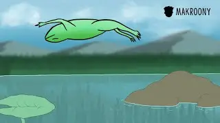 A Frog does backflip!