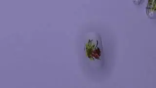 Акварель. Осенние дизайны