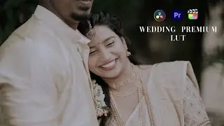 PREMIUM WEDDING LUT PACK | LUT Pack 2023 | Fcp | Davinci | Premiere Pro | Learn 2 Pro