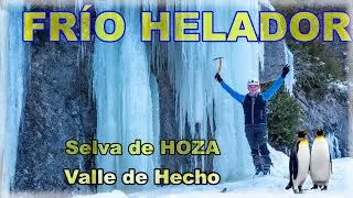 Selva de Oza frío helador en el Valle de Hecho