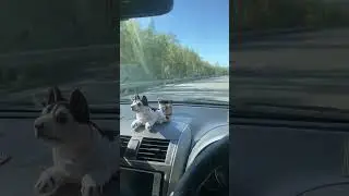 Вот и Осень Пришла 🍂
