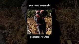 КРУПНЫЙ ХАРИУС попался !!  #рыбалка #спиннинг #аэролодка #блесна #хариус
