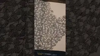 100 fish in a page #artistsoninstagram #artandillustration #illustration #illustrationart #art