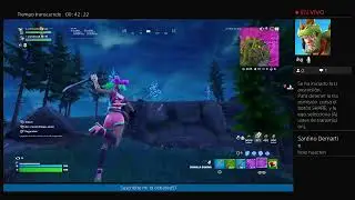 Jugando al fornite