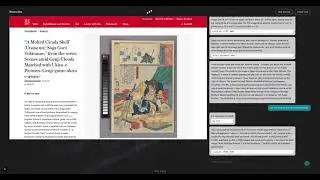 Browsafex Demo