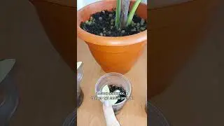 Не рекомендую!🍀