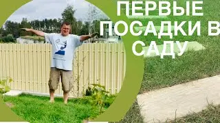 Разбил сад.
