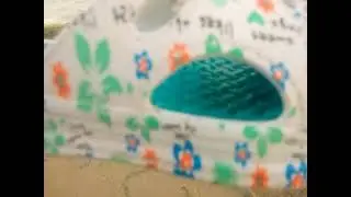 Новые шлёпки 5.09.2016