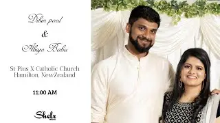 Dibin paul & Abiya Babu Wedding Live | Shelz Media