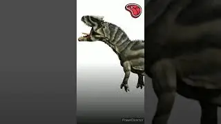Saurophaganax - Un jour, Un dino