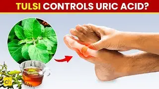 Tulsi Can Control High Uric Acid? - Credihealth #tulsi #tulsiherb #uricacid