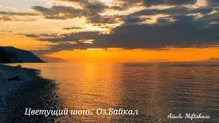 Цветущая природа у Байкала в июне