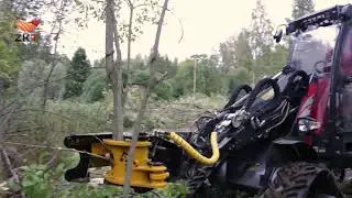 Валочная головка ZKT-TMK-200 на базе минипогрузчика