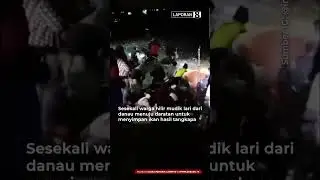 Momen heboh warga berebut ribuan ikan Japuh yang terdampar di Pantai Cipatujah