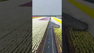 Drone + Ai magic 🪄 
