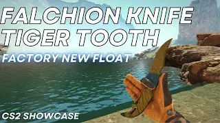 Falchion Knife Tiger Tooth | CS2 Skin Showcase #975