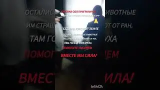 11.10.2024г