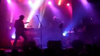 Creedence Tribute - Born On The Bayou