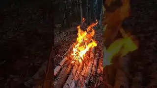 Встретили первый снег на велосипедах в лесу #shorts