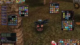 Отрывок осады . Last Chaos Valhalla.