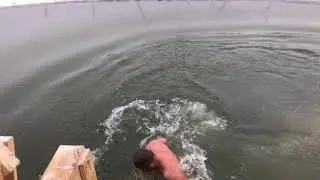 Макс морж