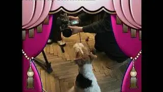 ХХ ХХ 2004   Съемки Лидера и щенки
