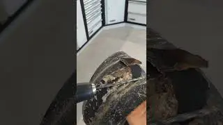 how to clean dry latex from tubeless mtb tires #tutorial #mtb #bicifaidate #lorybart