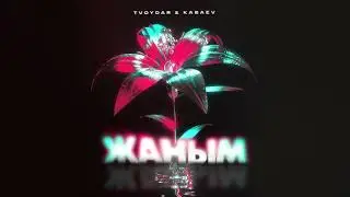 TVOYDAR & KABAEV - Жаным (Audio)