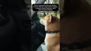 ВЫНЕСЛА МОЗГ ЖЕНИХУ…