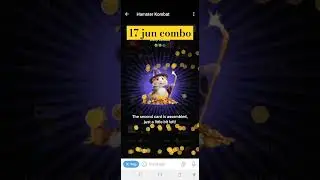 17 June hamster Kombat combos | hamster Kombat daily com o 