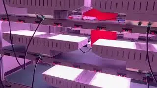 WiFi очень мощные светильники 800w и 1000w, 3.15Umol/j, PPE 2150, 3150! Два диммера. InGrowMag!