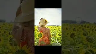 Cropping Photos Without Changing The Aspect Ratio